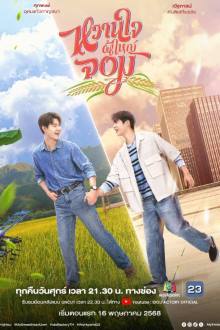 My Sweetheart Jom (2025)